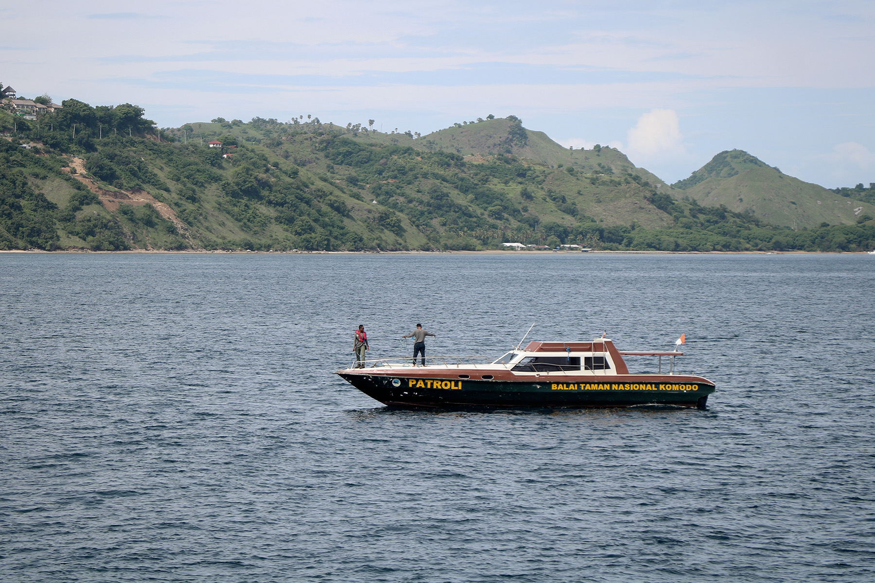 Latar Belakang Kehutanan