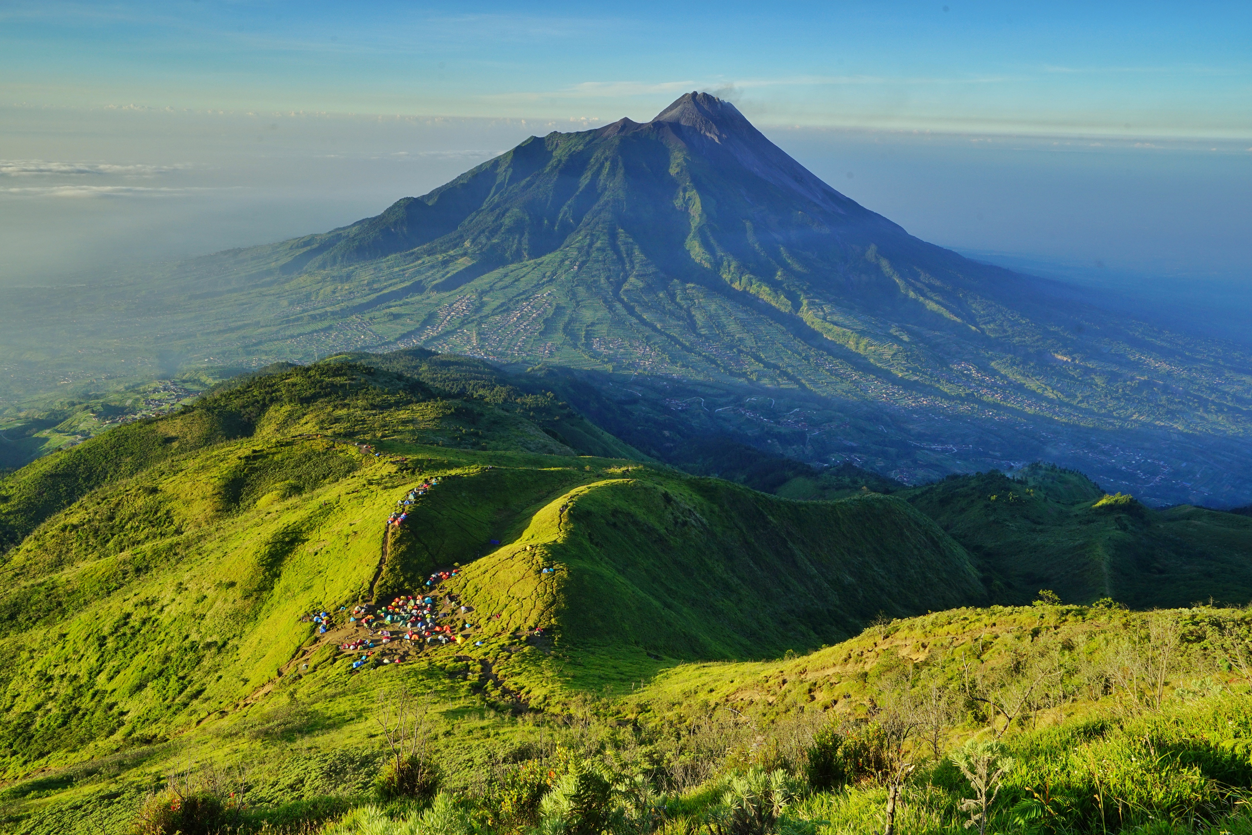 Latar Belakang Kehutanan